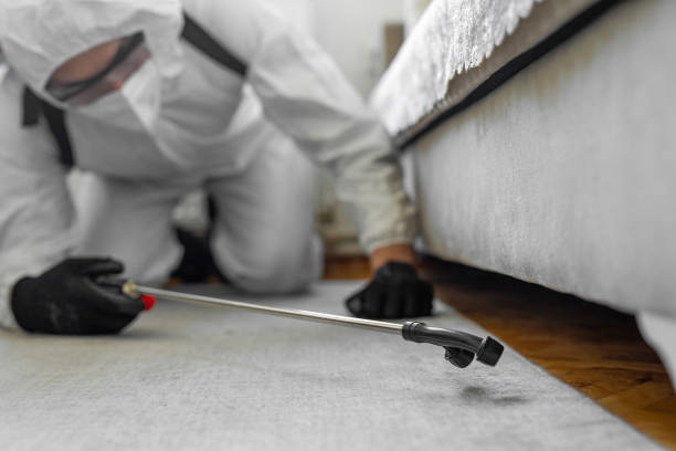 Professional Bed Bug Control technician working in Fairport Harbor, OH