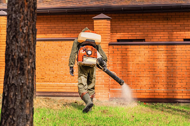 Trusted Termite Control service in Fairport Harbor, OH - Nex Pest Control